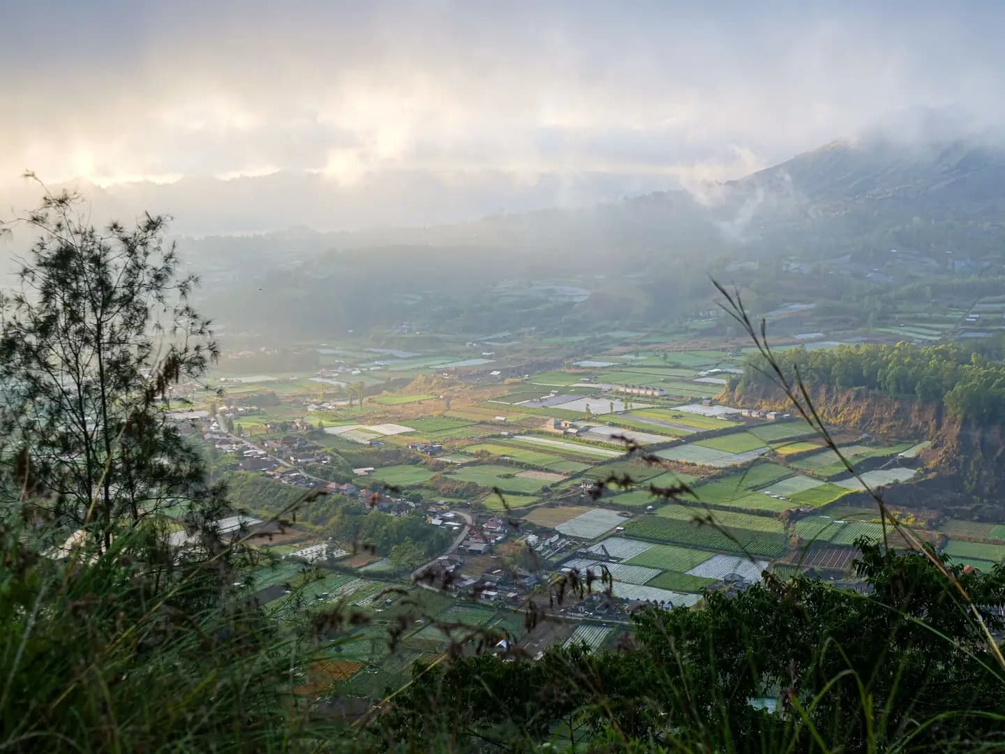 Devara Creative studio - Cinematic brand photography and design work showcasing luminous visual storytelling from Bali
